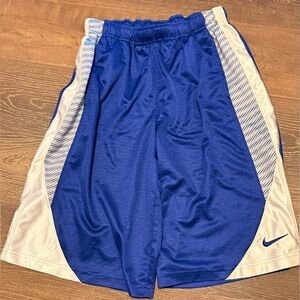 Nike Kids Royal Blue and White Shorts